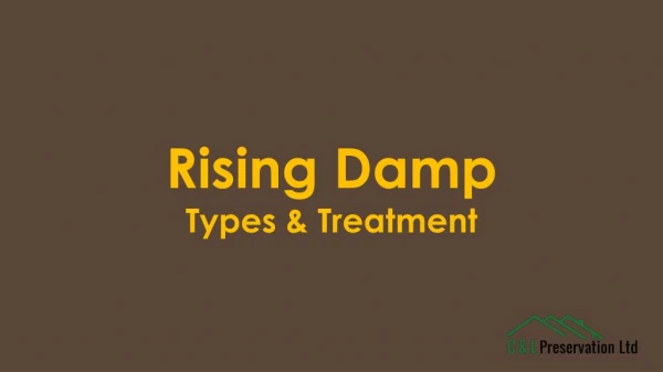 Checkout the list of Common types of Damps