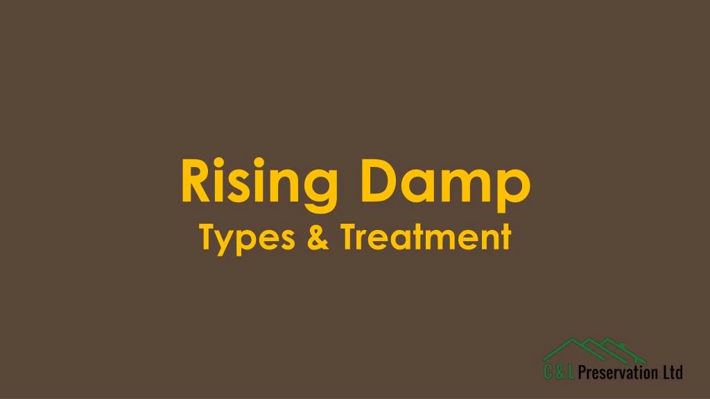 rising damp types treatment