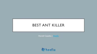 Best Ant Killer for Inside Home