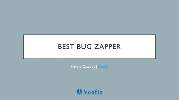 Best Indoor Outdoor Bug Zapper
