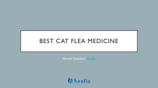 Best Over The Counter Cat Flea Medicine