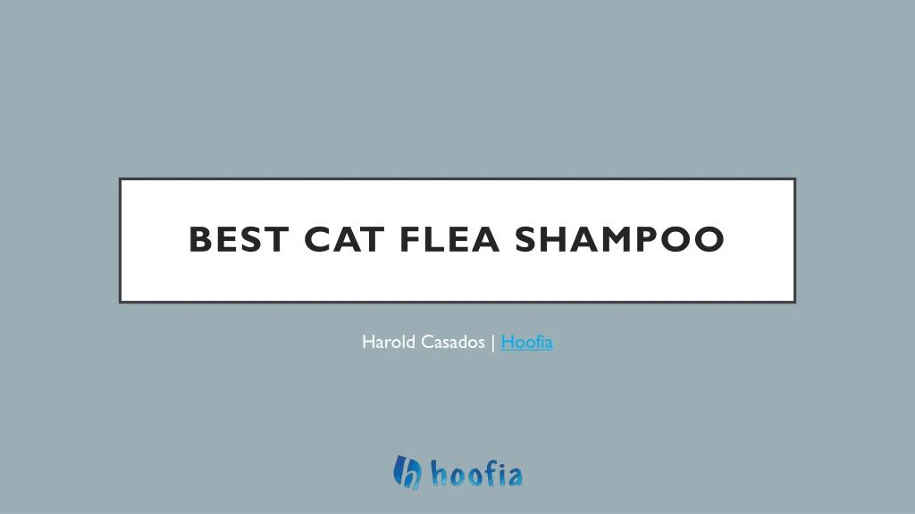 best cat flea shampoo