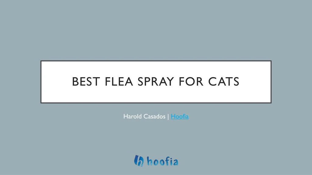 best flea spray for cats
