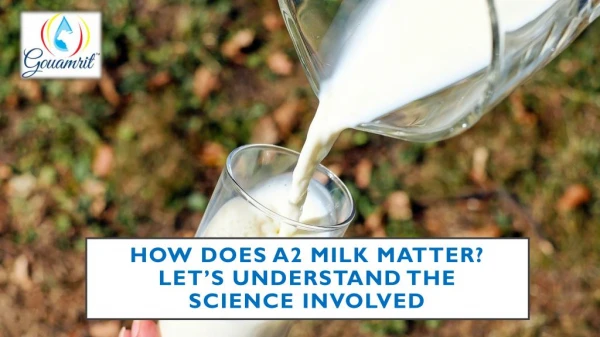 How does A2 milk Matter? Let’s understand the science involved