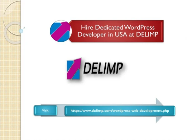 Hire Dedicated WordPress Developer in USA at Delimp