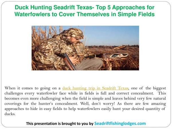 Duck Hunting Seadrift Texas- Top 5 Approaches for Waterfowlers to Cover Themselves in Simple Fields