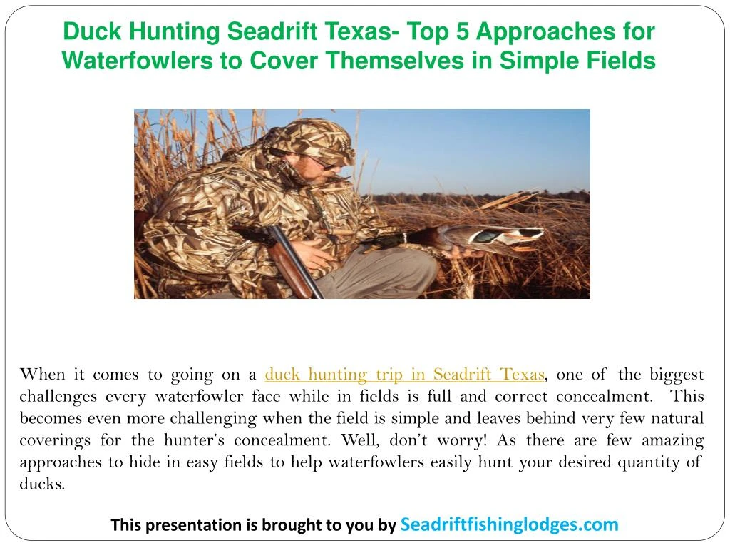 duck hunting seadrift texas top 5 approaches