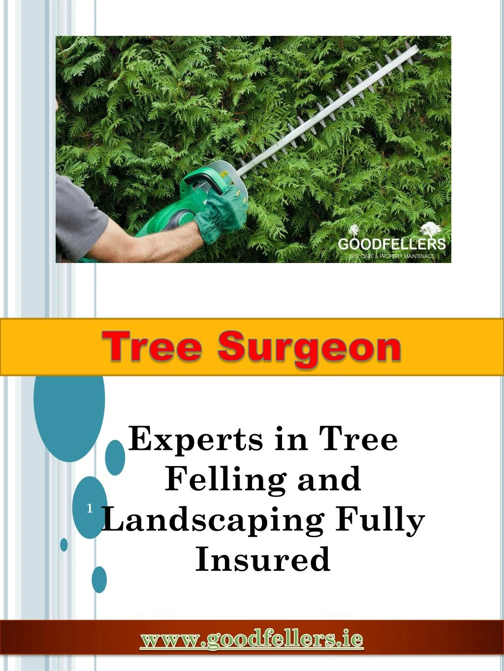 tree surgeon