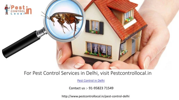 Who to choose the best pest control services in affordable and affordable prices in Delhi?