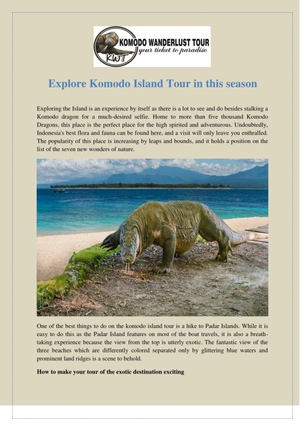 Explore Komodo Island Tour in this season