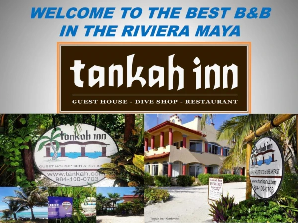 WELCOME TO THE BEST B&BIN THE RIVIERA MAYA