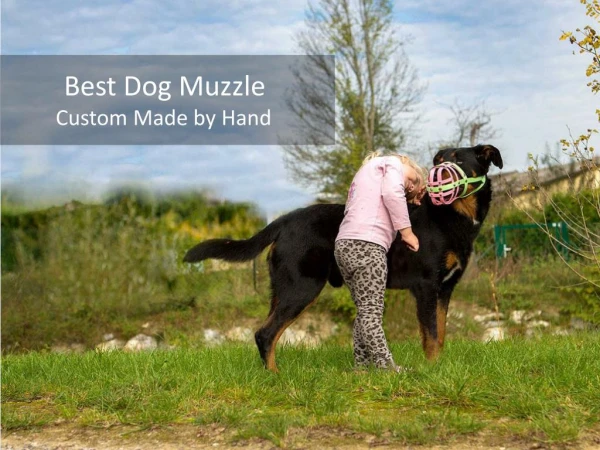 Best Dog Muzzle - Custome Made by Hand