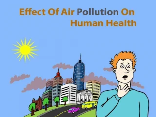 Effect Of Air Pollution On Human Health - slide 1