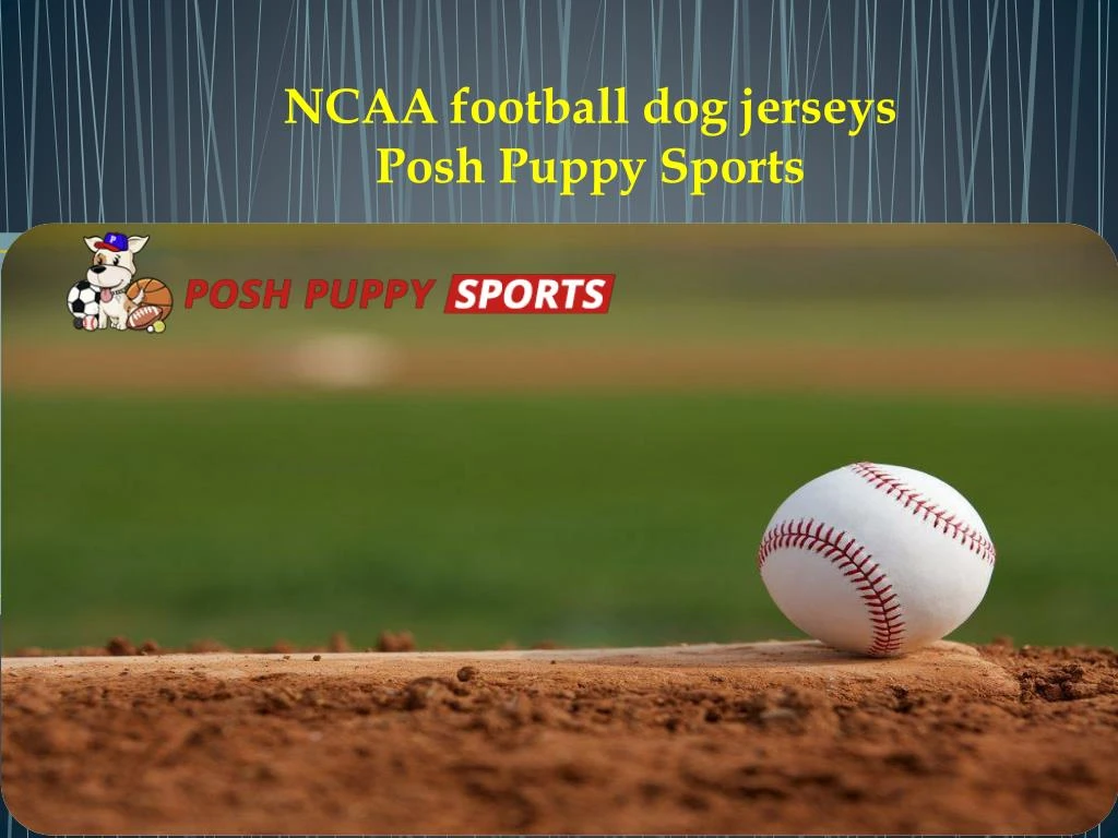 nca a football dog jerseys posh puppy sports