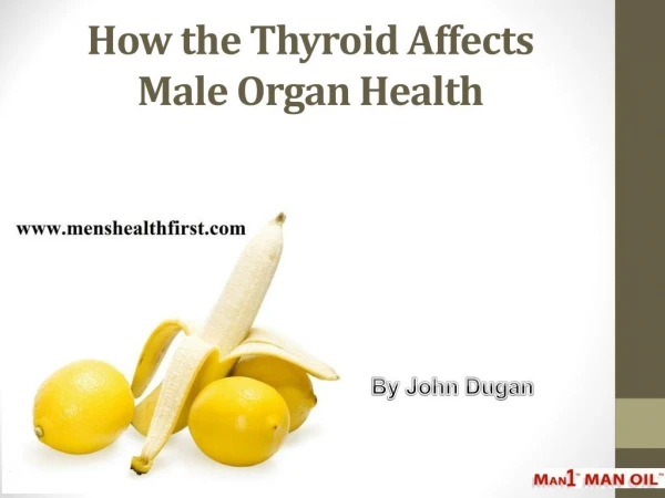 How the Thyroid Affects Male Organ Health