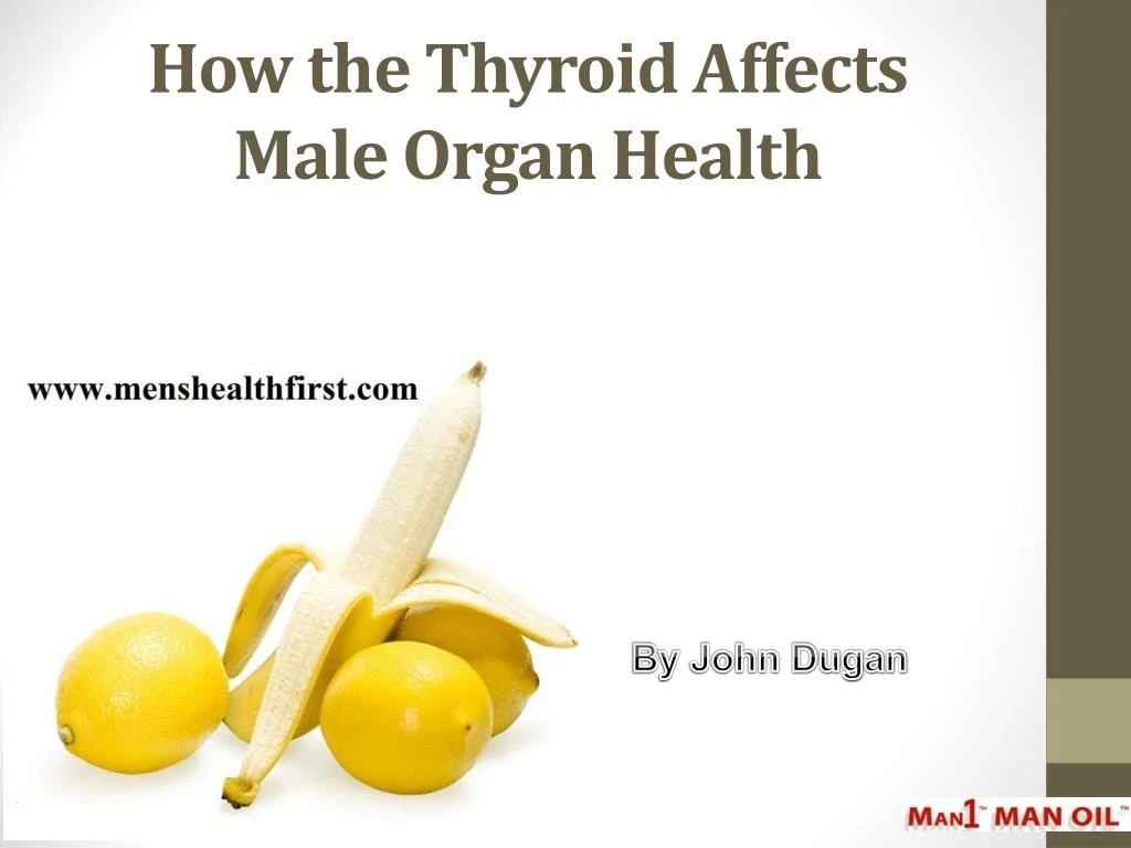 how the thyroid affects male organ health