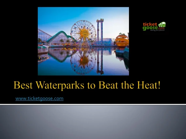 Best Waterparks to Beat the Heat!