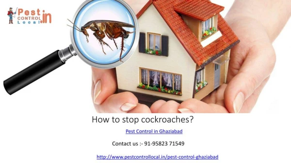 Which one to choose the best termite and pest control services in Ghaziabad?