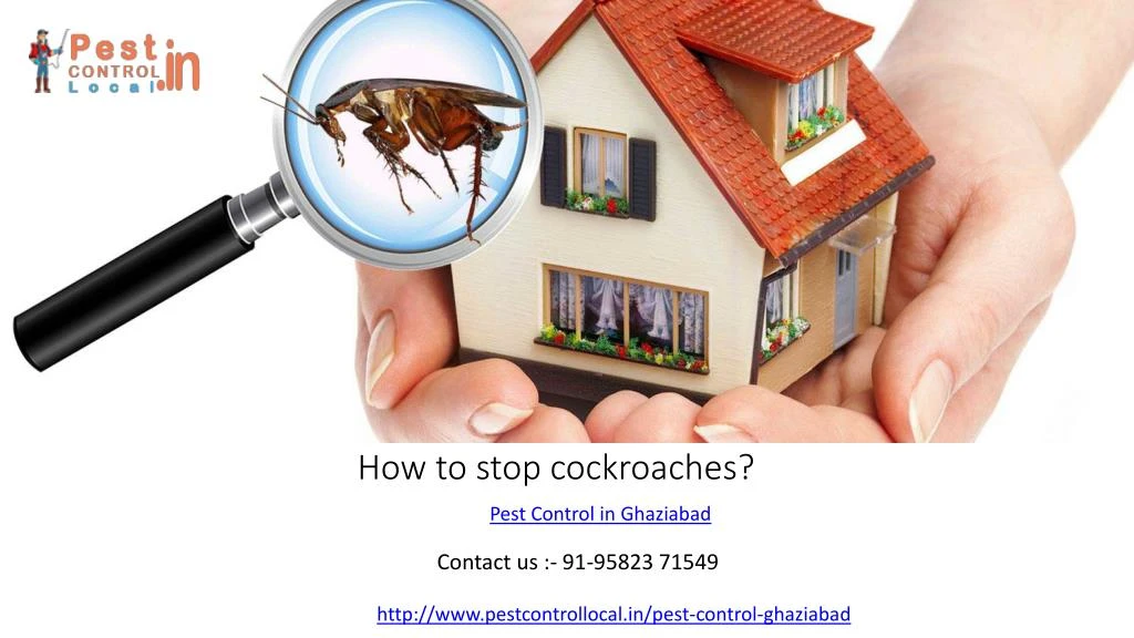 how to stop cockroaches
