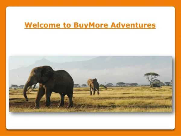 Choose a Kenya Safari Company for Your Next Vacation
