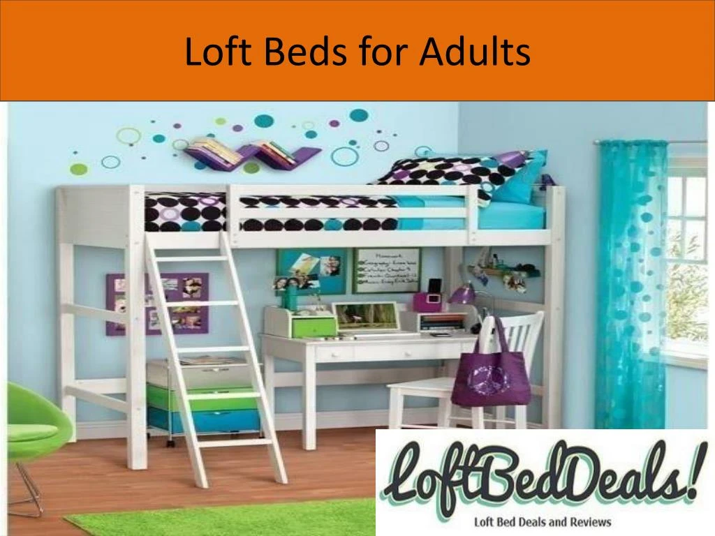 loft beds for adults