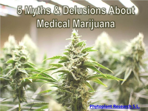5 Myths & Delusions About Medical Marijuana