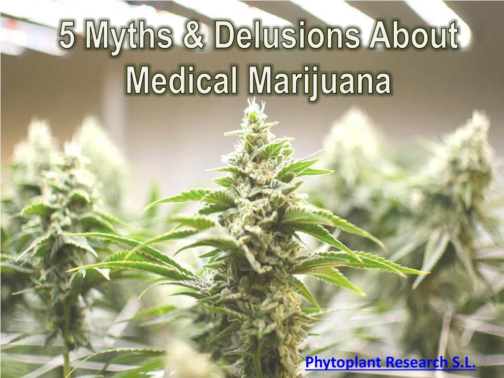 5 myths delusions about medical marijuana