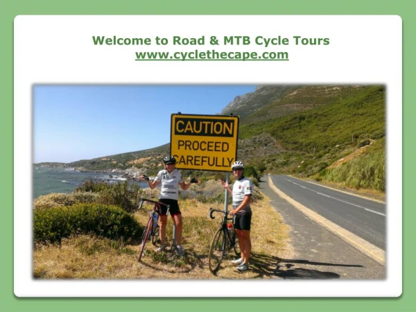 Mountain Bike Tours in Cape Town