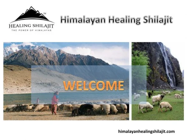 Find the most authentic Shilajit only from Himalayan Healing Shilajit!