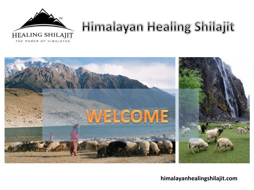himalayan healing shilajit