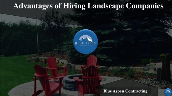 Immense Advantages of Hiring Professional Landscape Companies