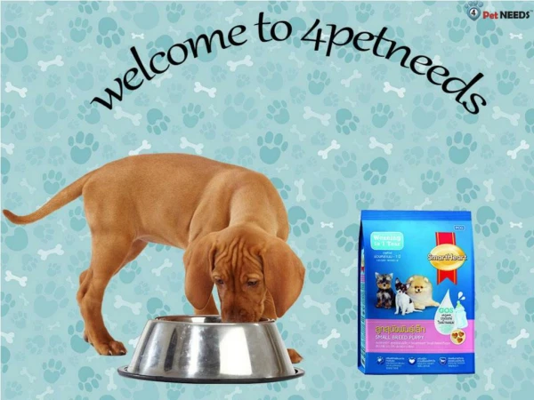 Online Pet Food & Accessories Supplier