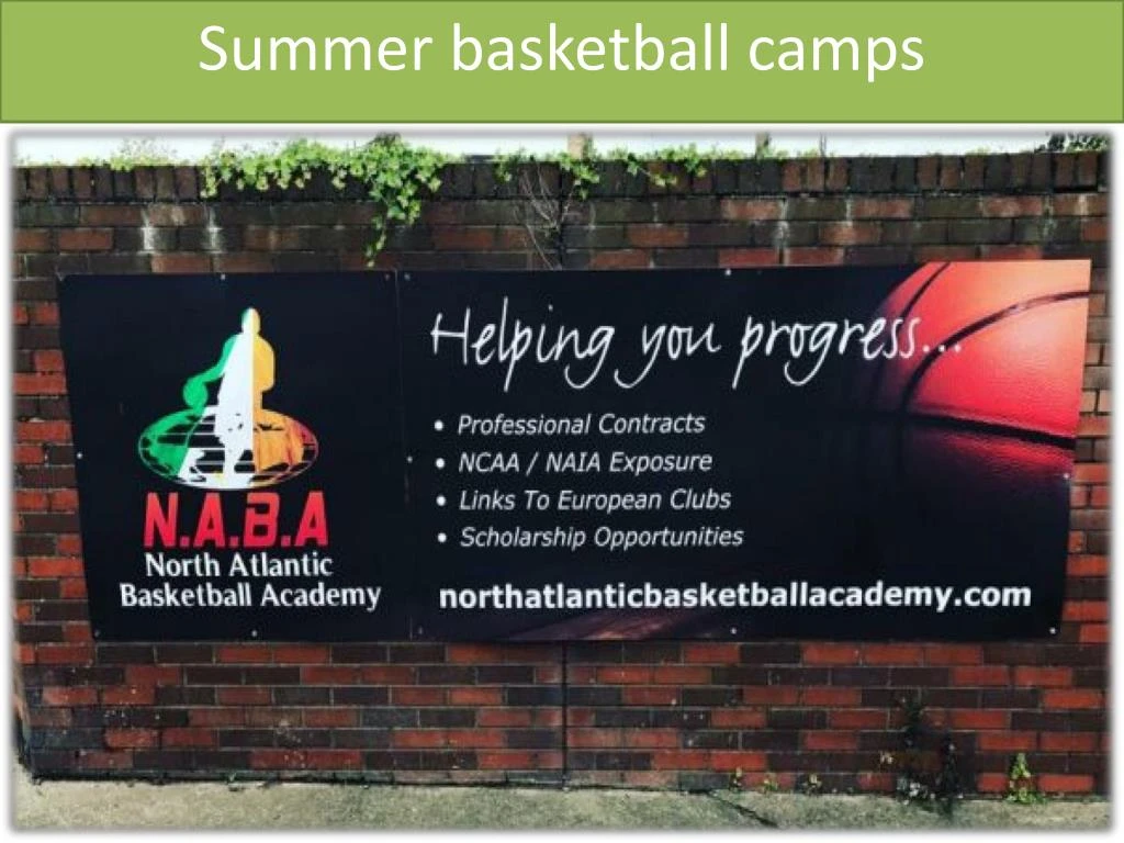 summer basketball camps