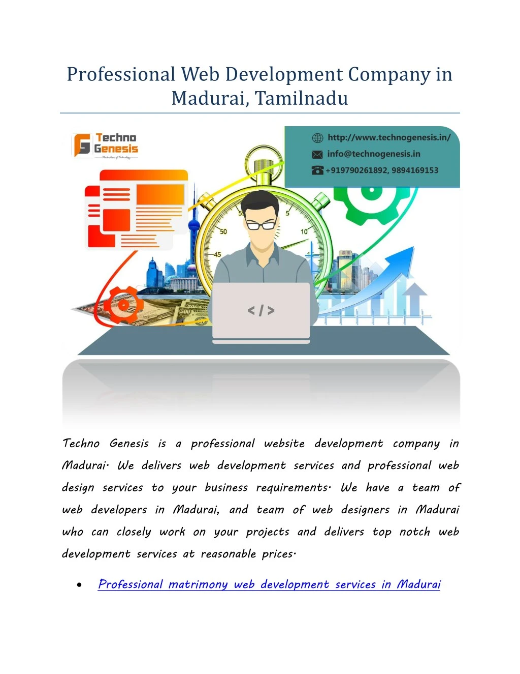 professional web development company in madurai