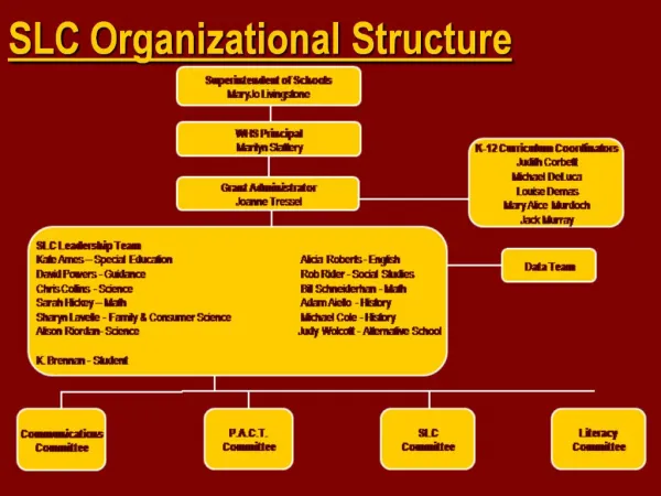 SLC Organizational Structure