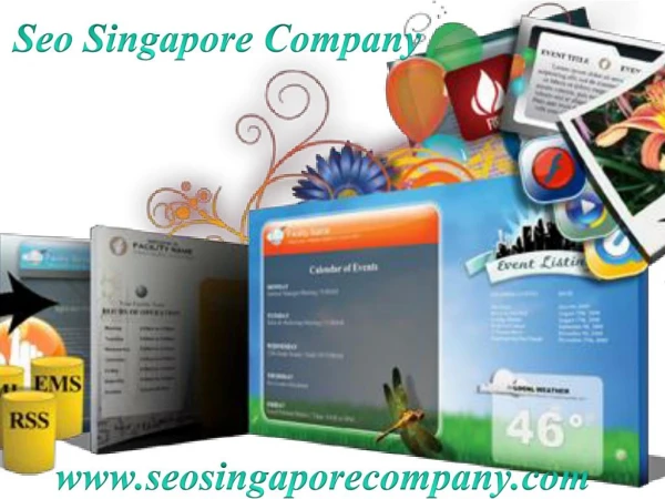 Professional Website Designer Singapore