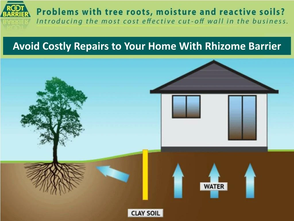 avoid costly repairs to your home with rhizome barrier
