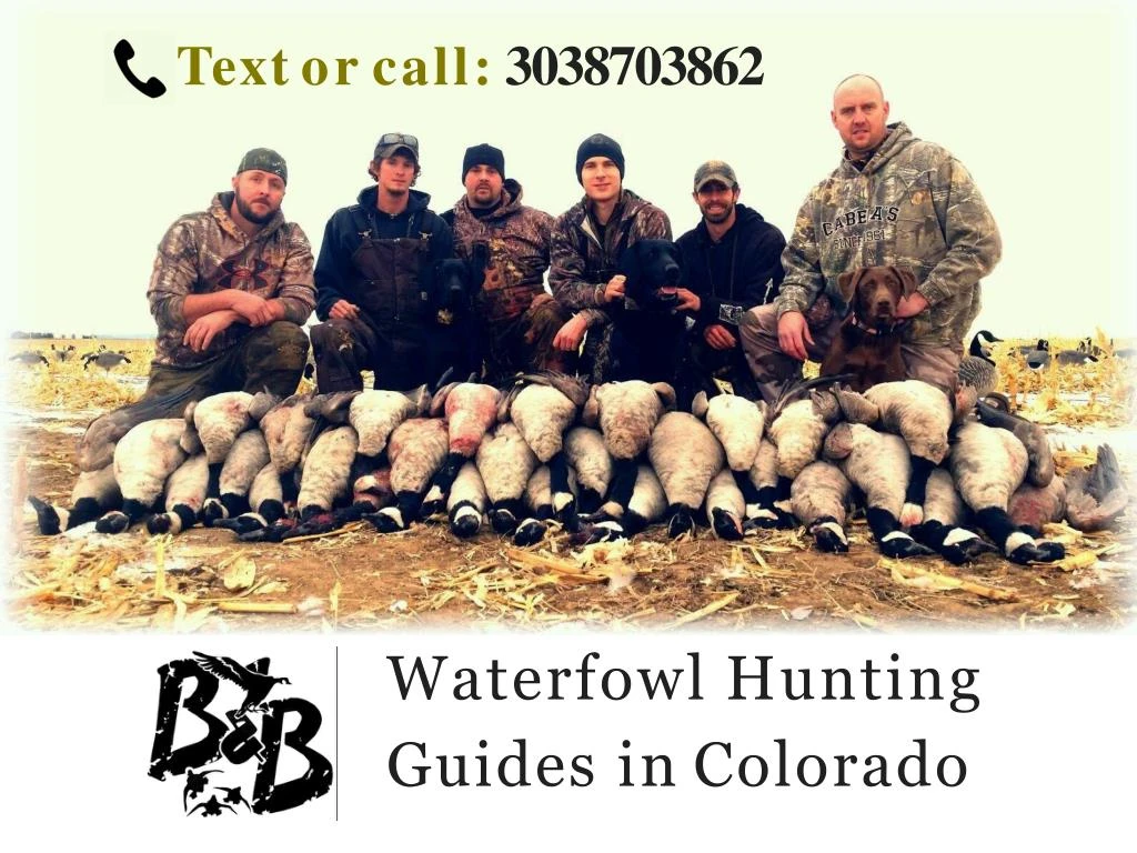 waterfowl hunting guides in colorado