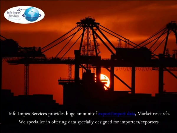 What Is the Importance of Export Import Data?