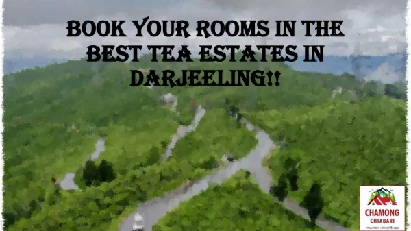 Book your rooms in the best tea estates in darjeeling!!