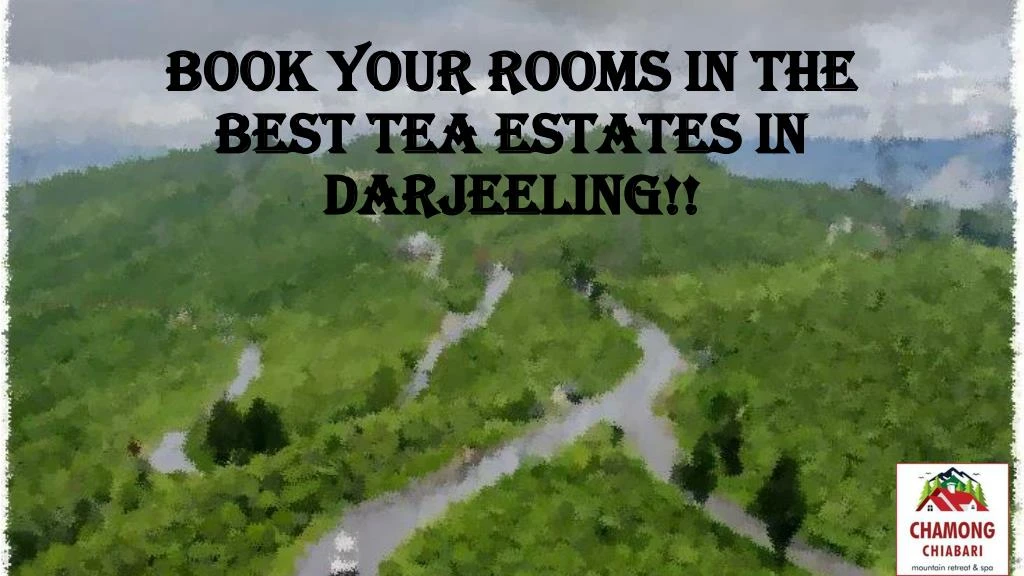 book your rooms in the best tea estates in darjeeling