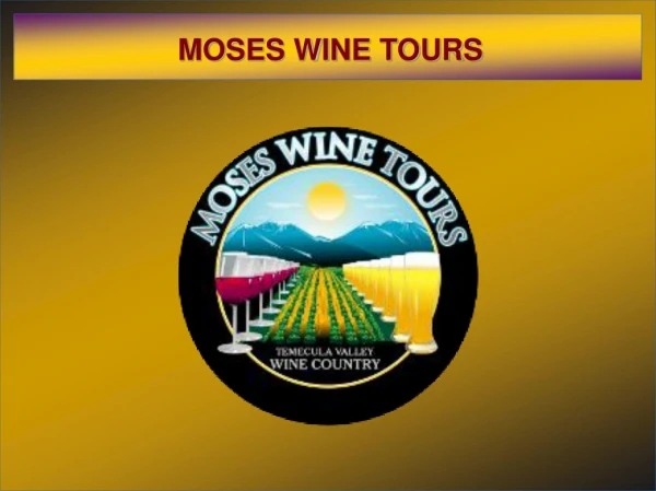 Moses Tours