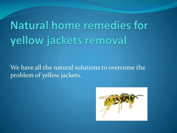 NATURAL HOME REMEDIES FOR YELLOW JACKETS REMOVAL