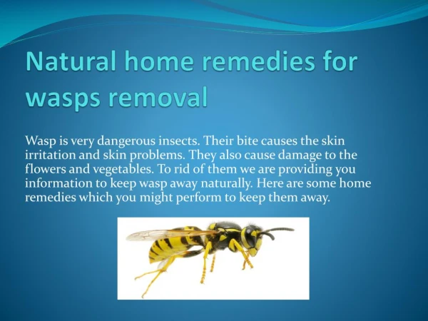 NATURAL HOME REMEDIES FOR WASPS REMOVAL