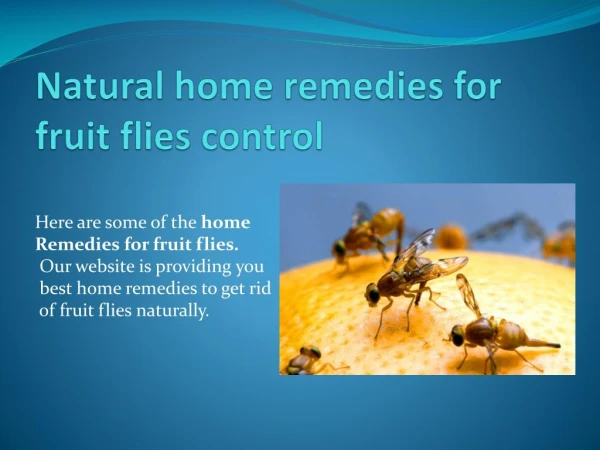 NATURAL HOME REMEDIES FOR FRUIT FLIES CONTROL
