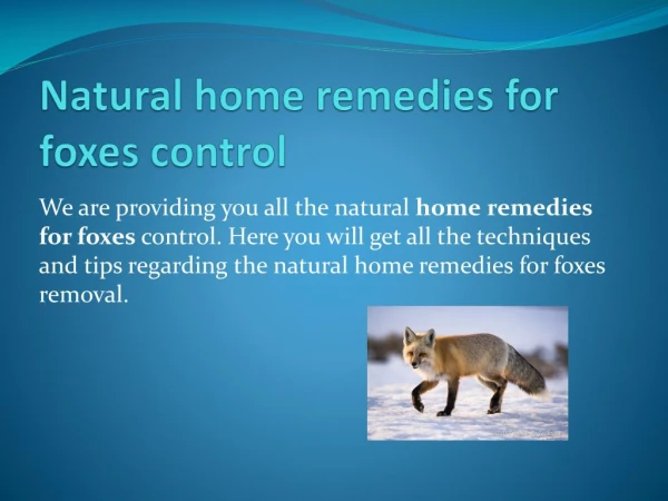 NATURAL HOME REMEDIES FOR FOXES CONTROL