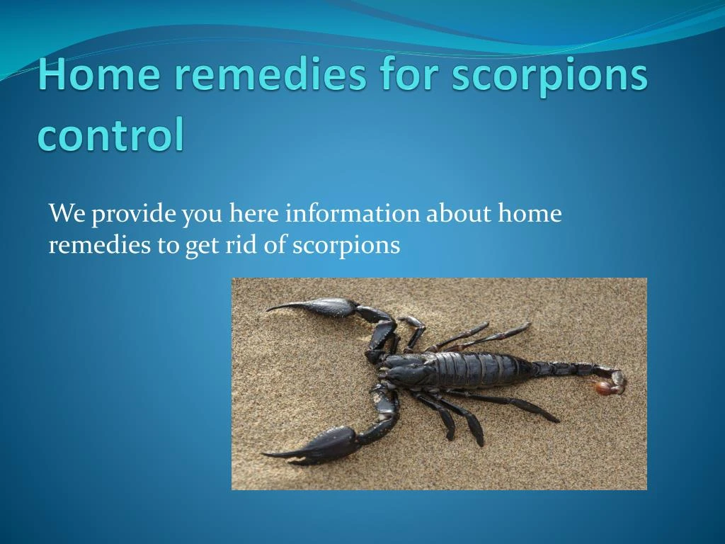 home remedies for scorpions control