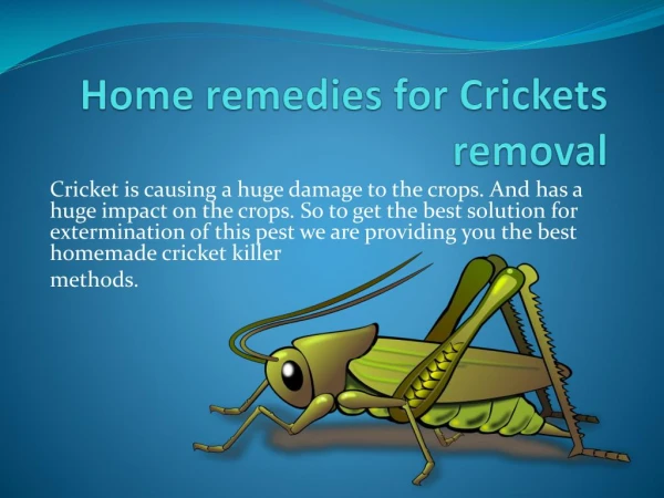 HOME REMEDIES FOR CRICKETS REMOVAL