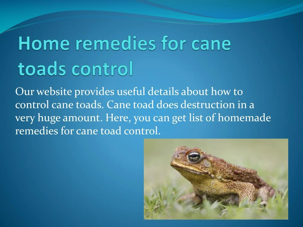 home remedies for cane toads control