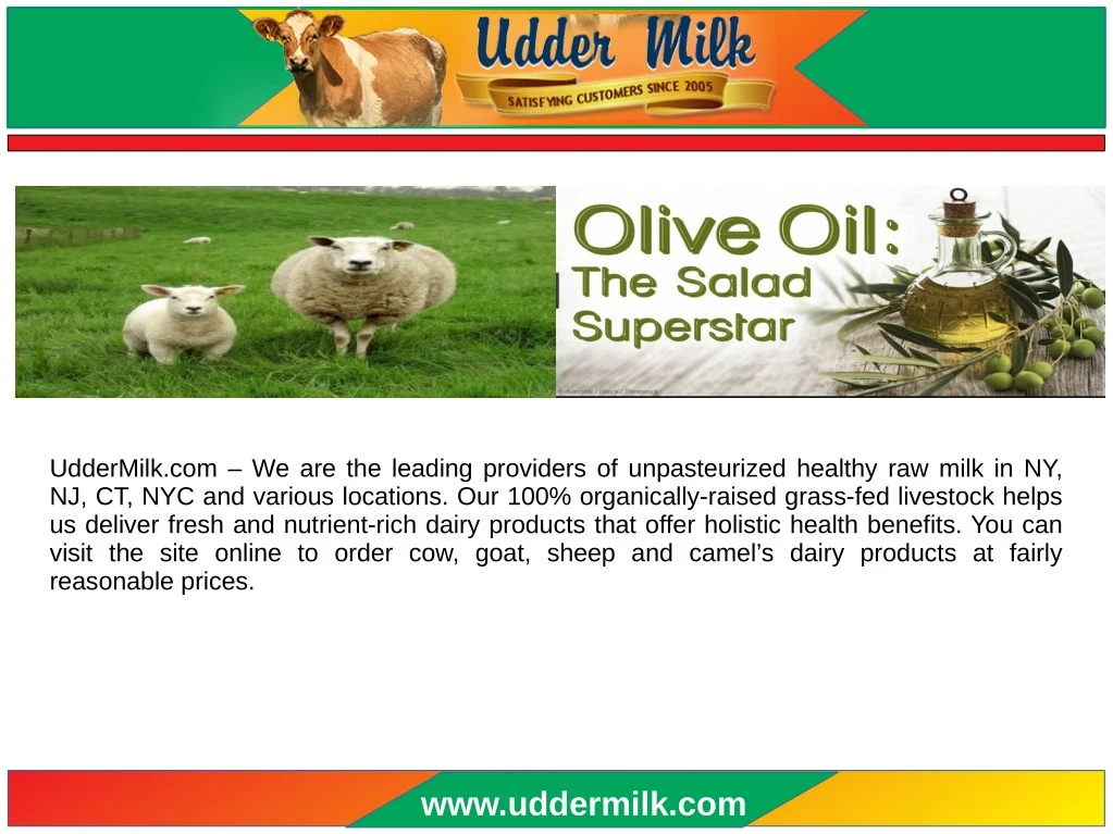 uddermilk com we are the leading providers